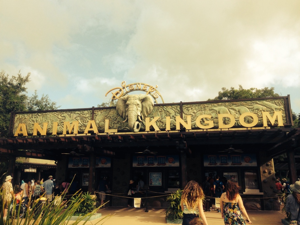 Disney; Disney's Animal Kingson; Animal Kingdom; Orlando; Florida; Humid